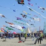 why can't i fly a kite cedar beach